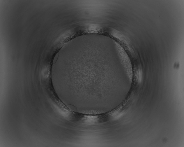 X0000095550665200801041332