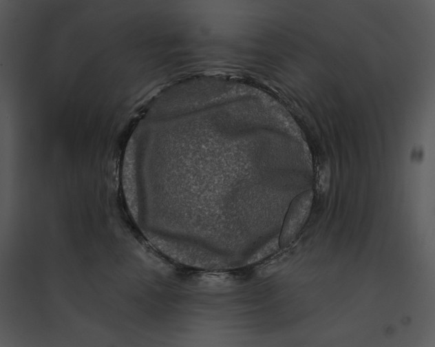 X0000095550666200801041332