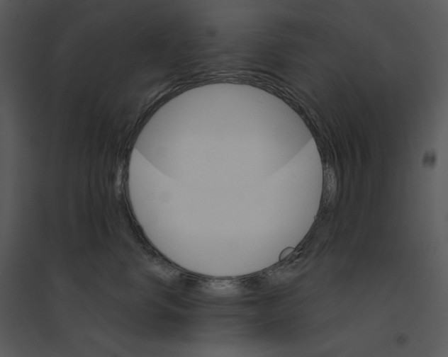 X0000095550668200801041332