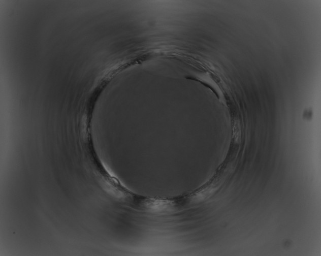 X0000095550670200801041332