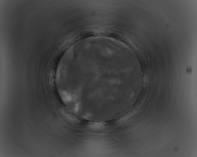 X0000095550671200801041332