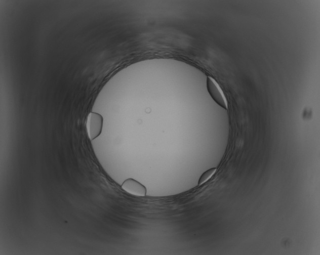 X0000095550672200801041332