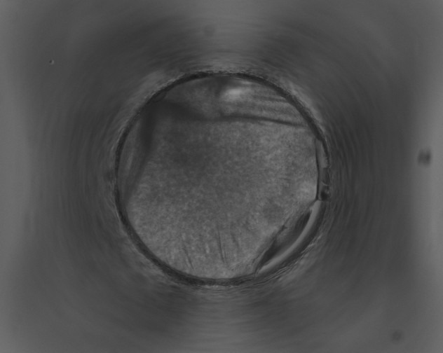 X0000095550673200801041331