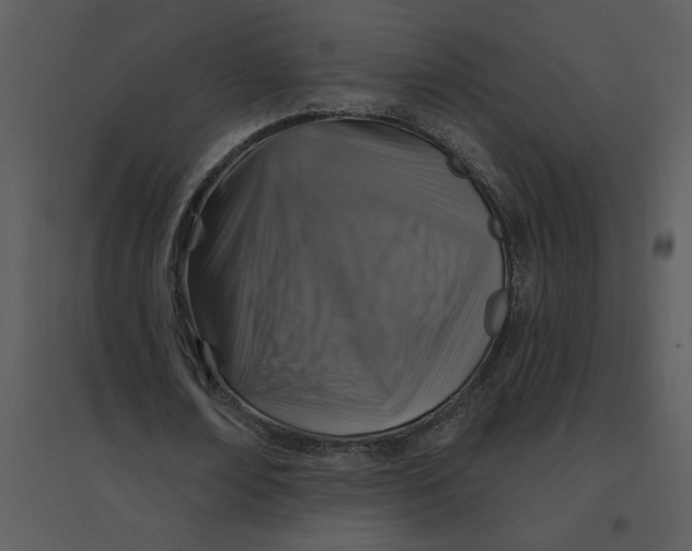 X0000095550674200801041331