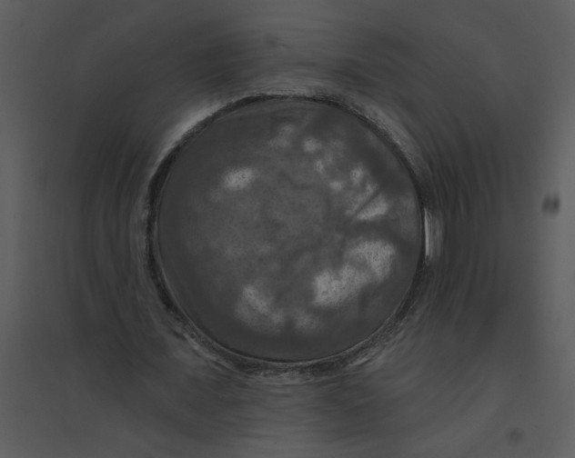 X0000095550675200801041331