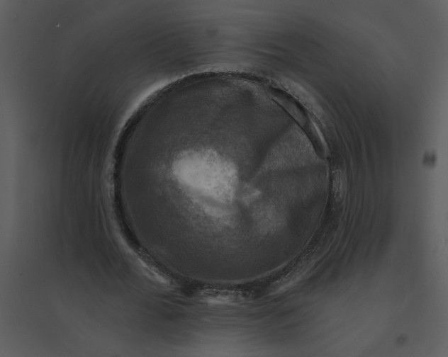 X0000095550676200801041331