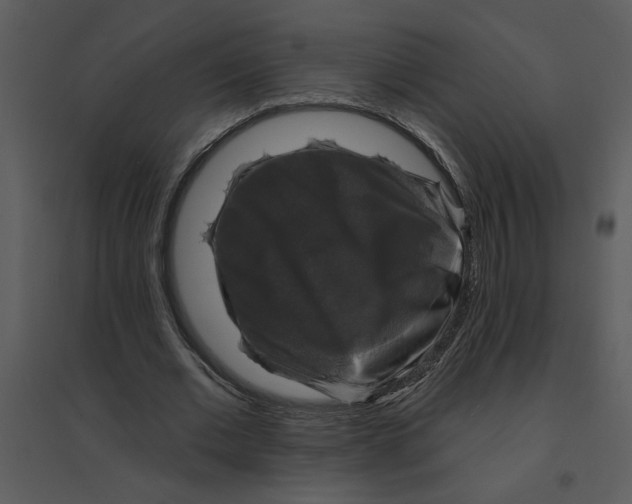 X0000095550677200801041331