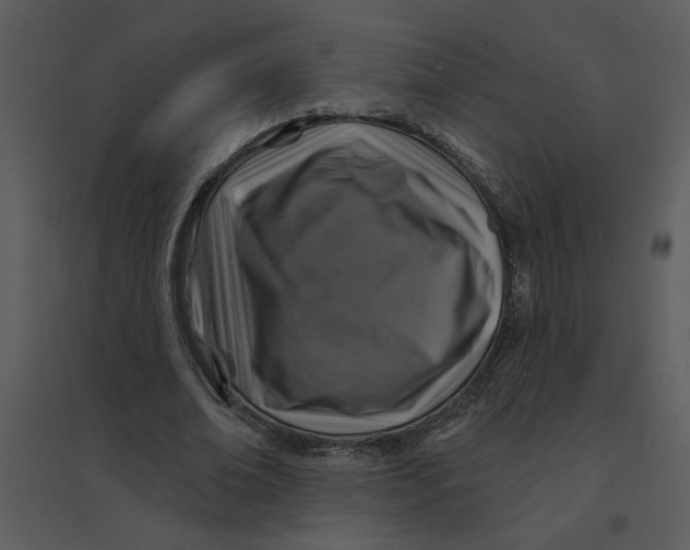 X0000095550678200801041331