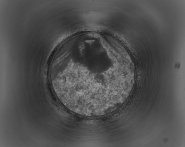 X0000095550679200801041331