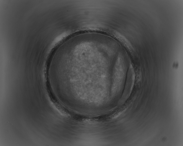 X0000095550680200801041331