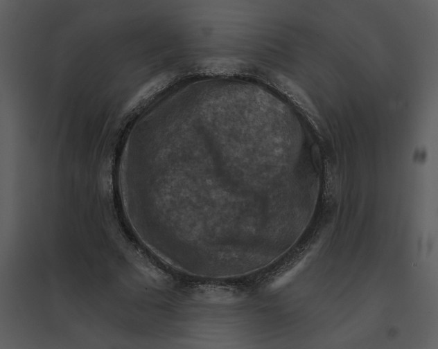 X0000095550681200801041331