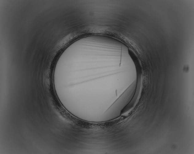 X0000095550682200801041331