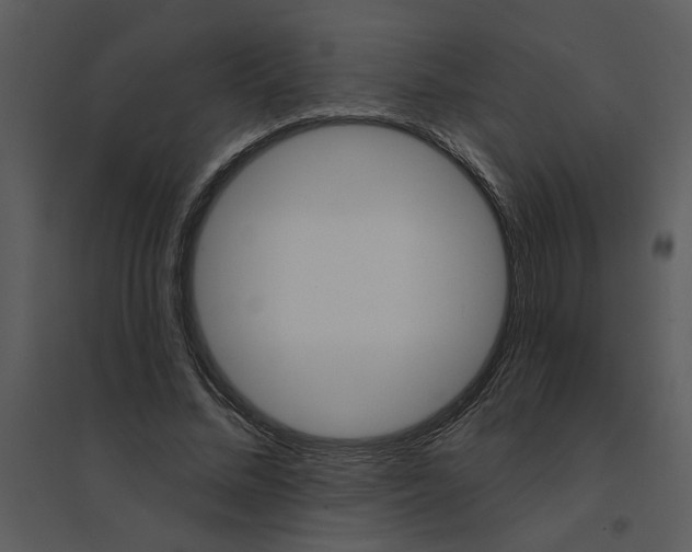 X0000095550684200801041331