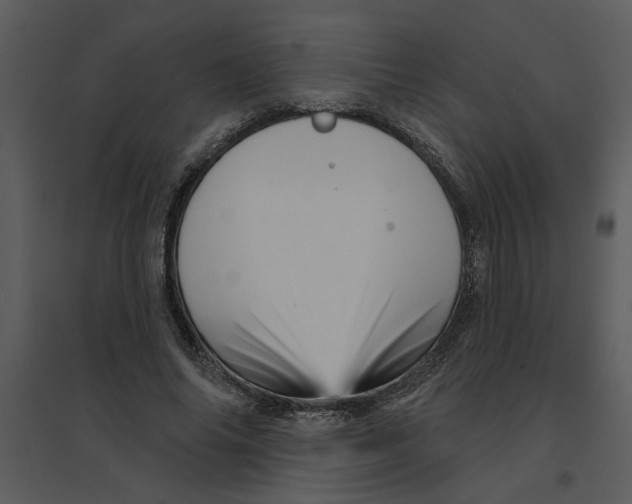 X0000095550686200801041331