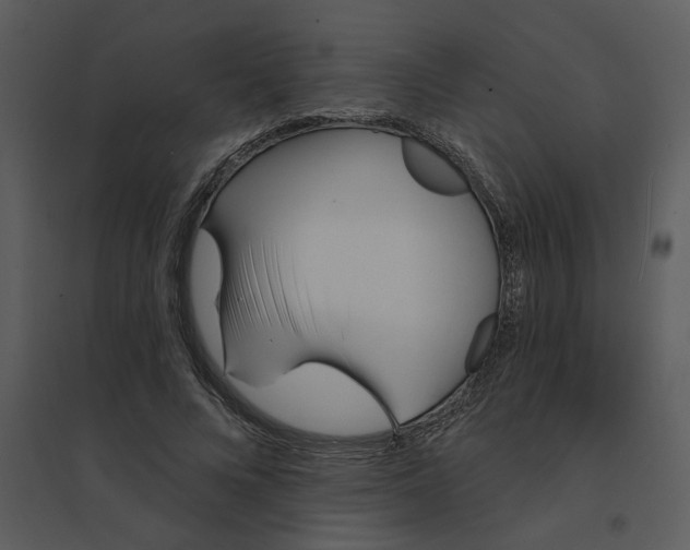 X0000095550688200801041331