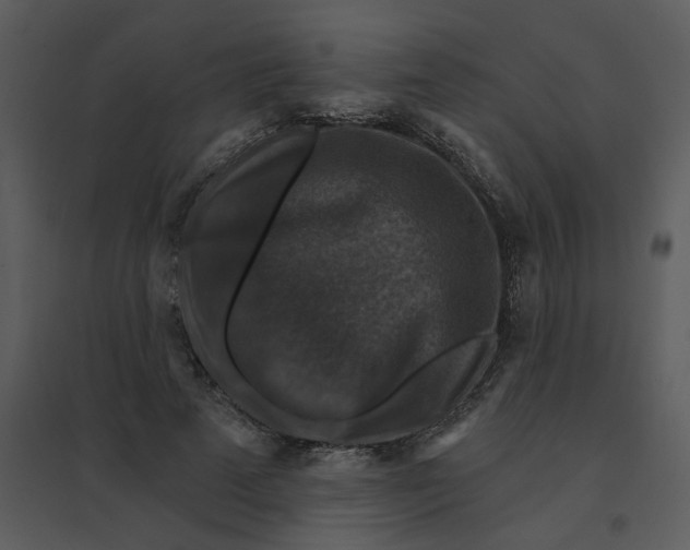 X0000095550689200801041331