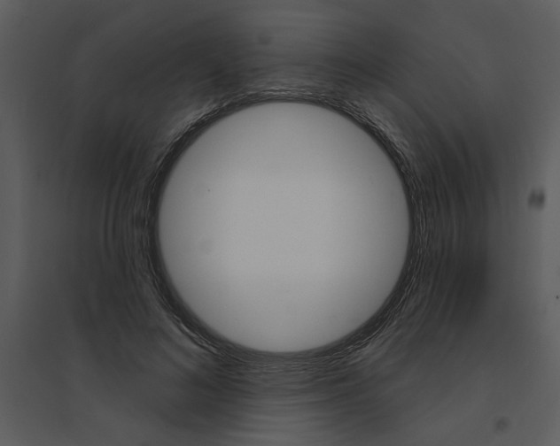 X0000095550692200801041331