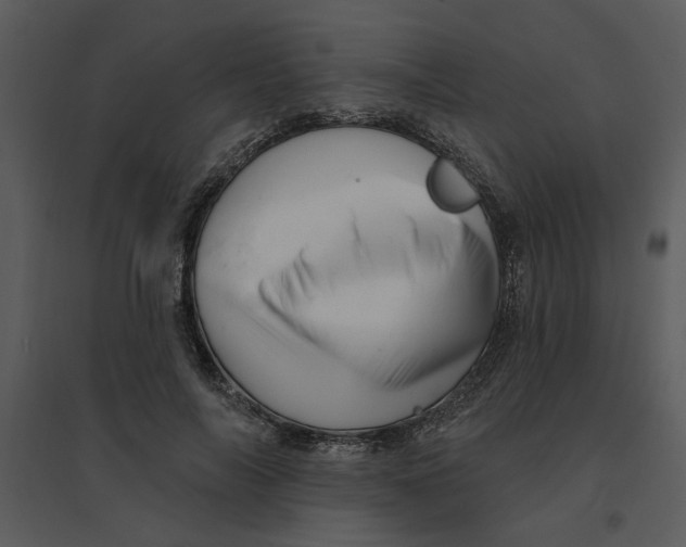 X0000095550694200801041331