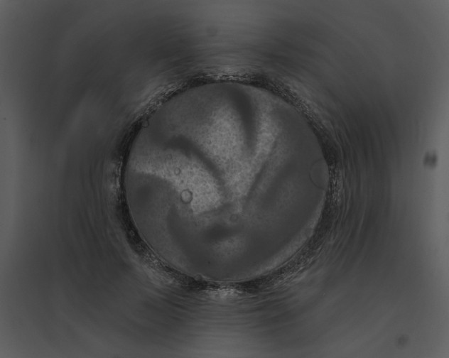 X0000095550695200801041331