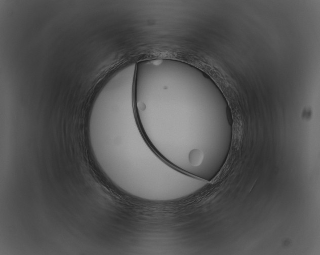 X0000095550696200801041331