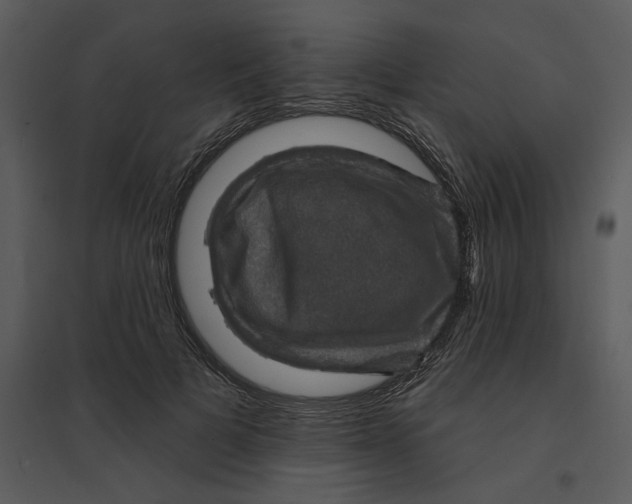 X0000095550697200801041331