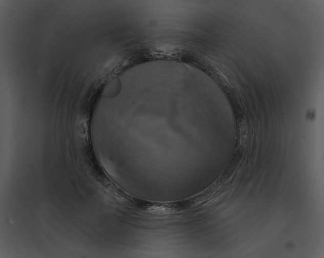 X0000095550699200801041331