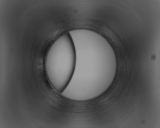 X0000095550700200801041331