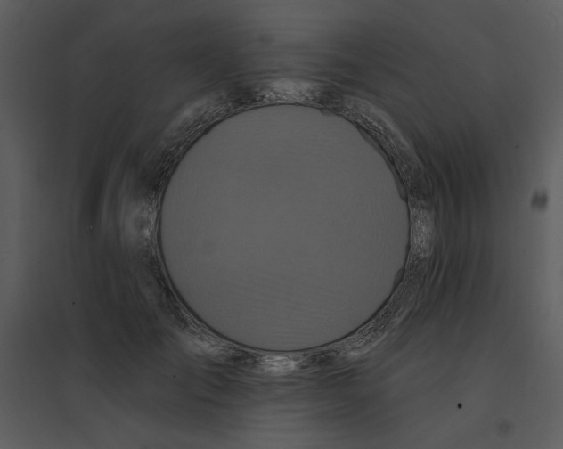 X0000095550701200801041331