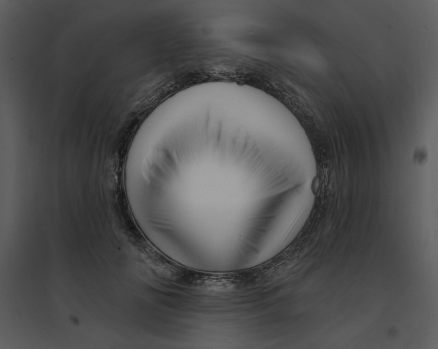 X0000095550702200801041331