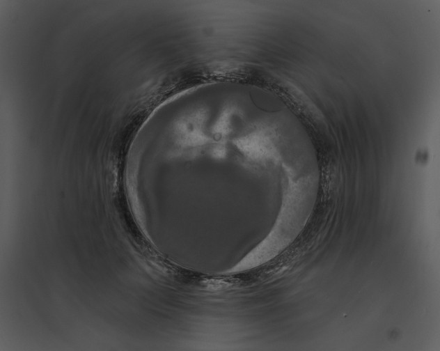 X0000095550703200801041331