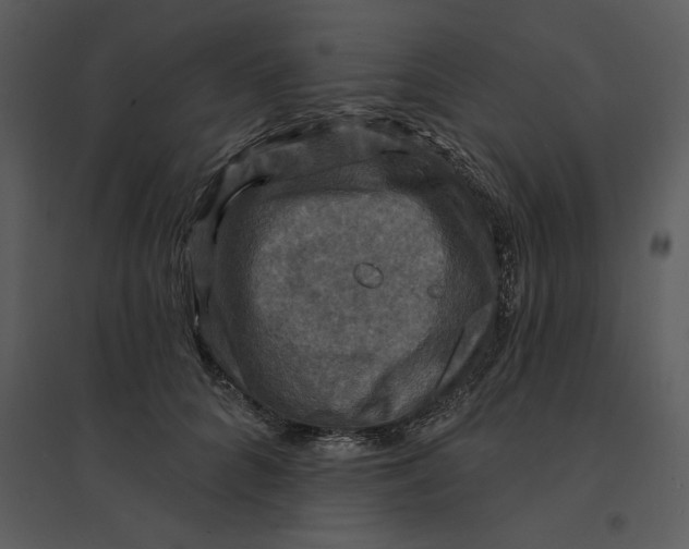 X0000095550704200801041331