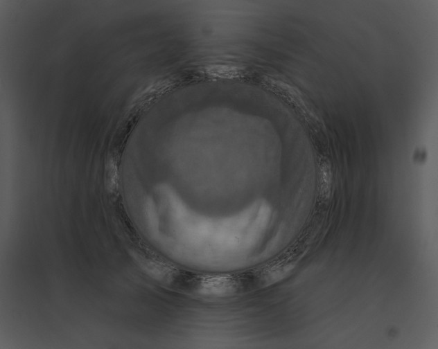 X0000095550705200801041331