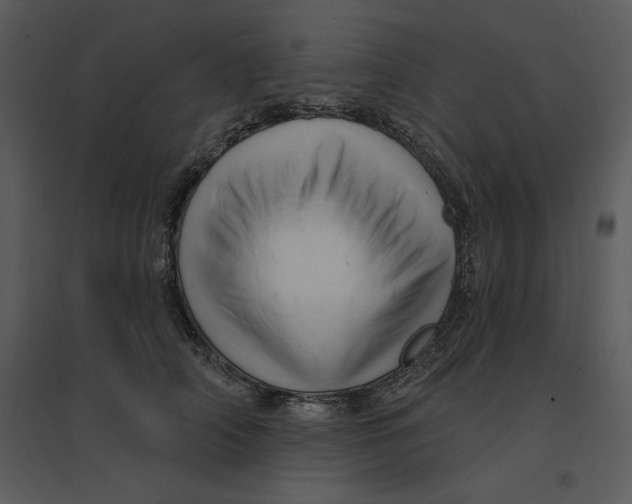 X0000095550706200801041331