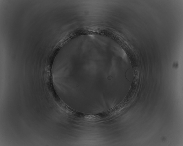 X0000095550707200801041331