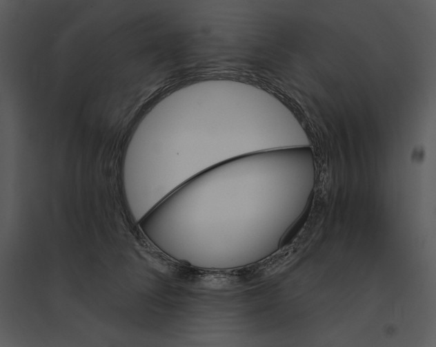 X0000095550708200801041331