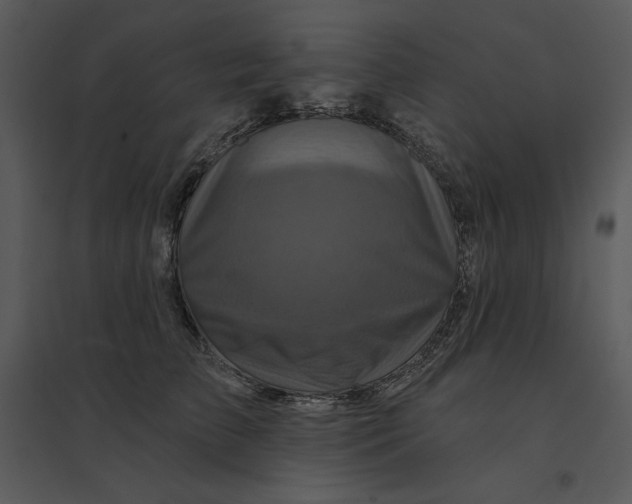 X0000095550709200801041331