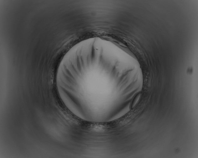 X0000095550710200801041331