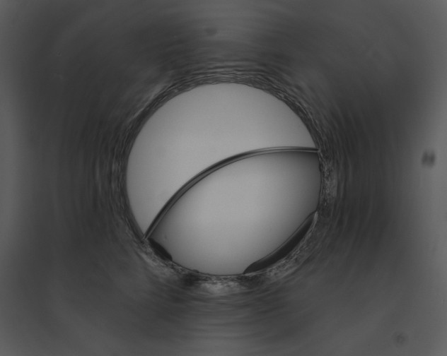 X0000095550712200801041331