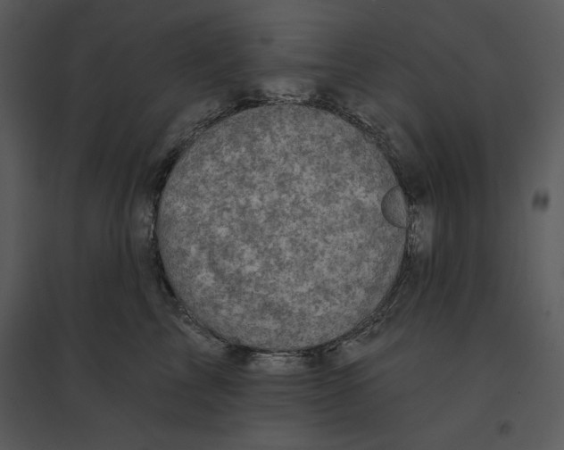 X0000095550713200801041331