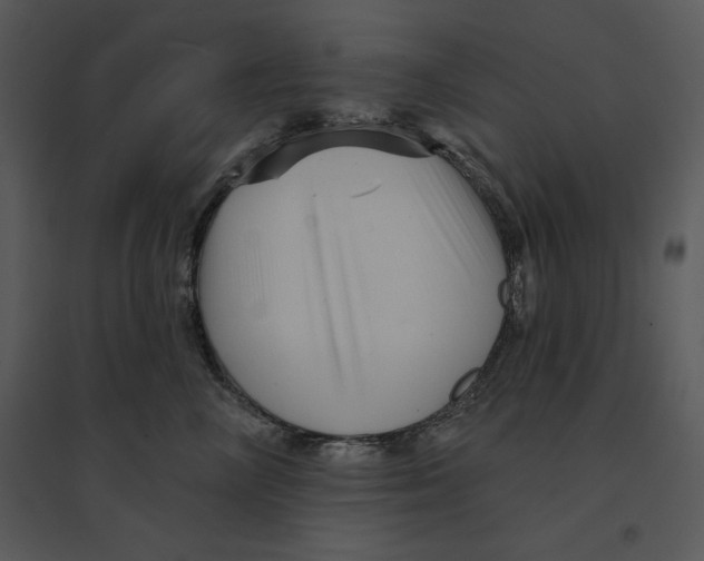 X0000095550714200801041331