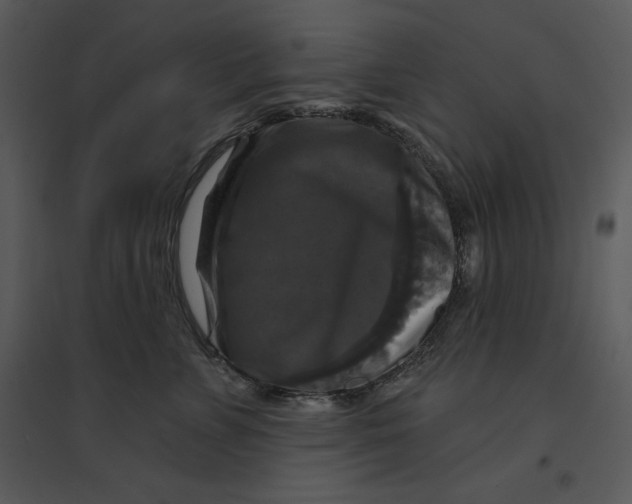 X0000095550715200801041331