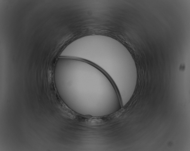 X0000095550716200801041331