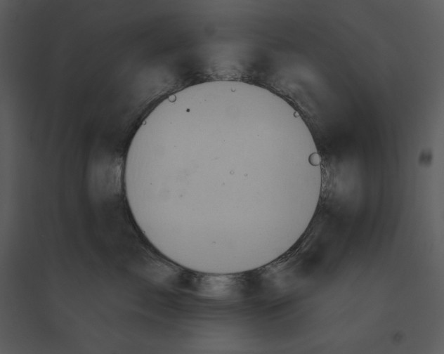 X0000095550717200801041331