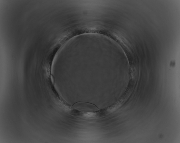 X0000095550718200801041331