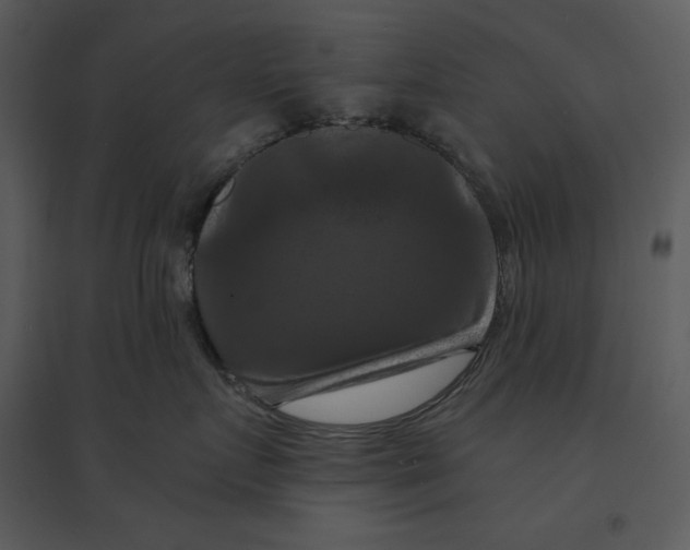 X0000095550719200801041331