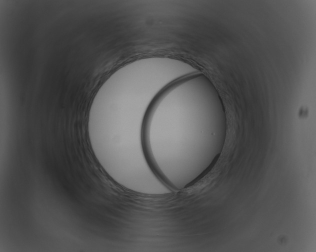 X0000095550720200801041331