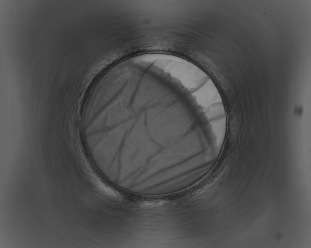 X0000095550721200801041330