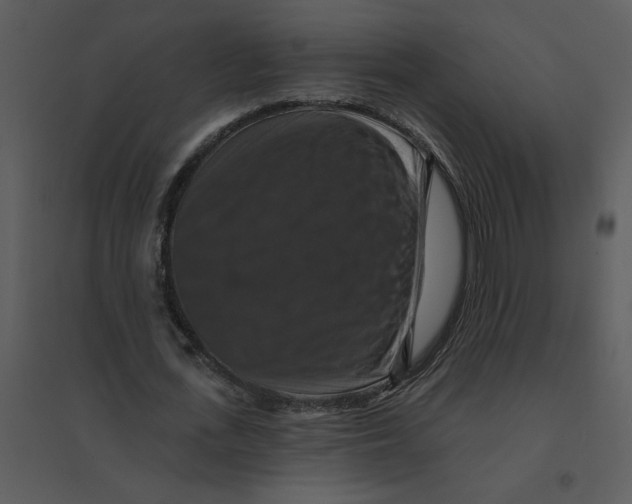 X0000095550723200801041330