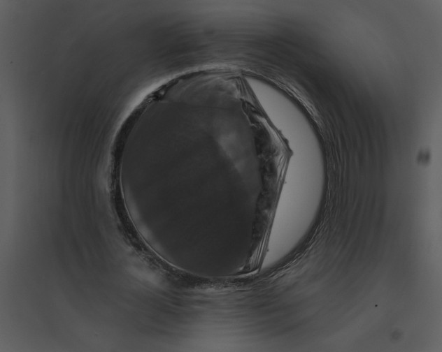 X0000095550724200801041330