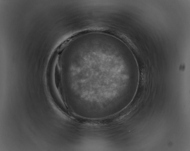 X0000095550726200801041330